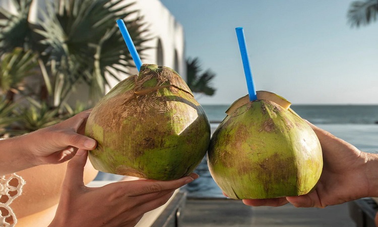 Health benefits of Coconut Water for Men